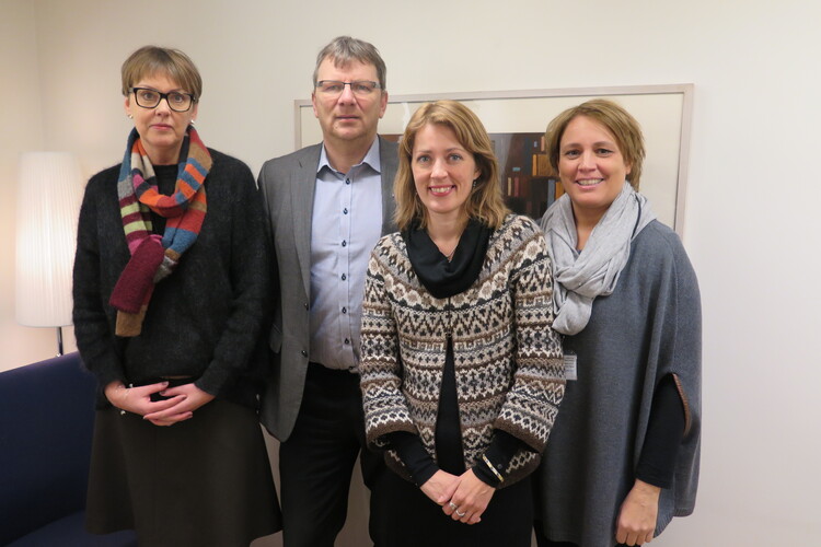 SpecilisterneHopmynd