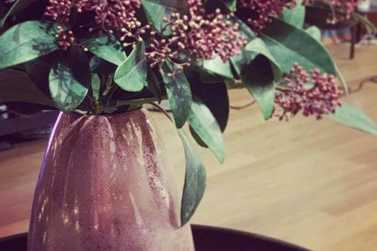 49081735_1968637279880632_4663595431253508096_o