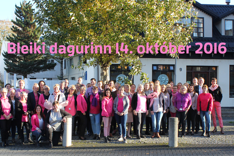 Bleiki dagurinn 2016